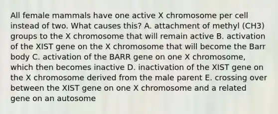 All female mammals have one active X chromosome per cell instead of two. What causes this? A. attachment of methyl (CH3) groups to the X chromosome that will remain active B. activation of the XIST gene on the X chromosome that will become the Barr body C. activation of the BARR gene on one X chromosome, which then becomes inactive D. inactivation of the XIST gene on the X chromosome derived from the male parent E. crossing over between the XIST gene on one X chromosome and a related gene on an autosome