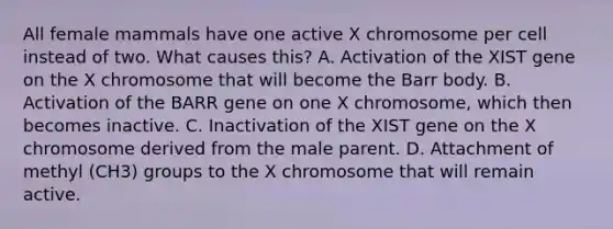 All female mammals have one active X chromosome per cell instead of two. What causes this? A. Activation of the XIST gene on the X chromosome that will become the Barr body. B. Activation of the BARR gene on one X chromosome, which then becomes inactive. C. Inactivation of the XIST gene on the X chromosome derived from the male parent. D. Attachment of methyl (CH3) groups to the X chromosome that will remain active.