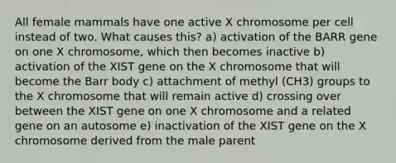 All female mammals have one active X chromosome per cell instead of two. What causes this? a) activation of the BARR gene on one X chromosome, which then becomes inactive b) activation of the XIST gene on the X chromosome that will become the Barr body c) attachment of methyl (CH3) groups to the X chromosome that will remain active d) crossing over between the XIST gene on one X chromosome and a related gene on an autosome e) inactivation of the XIST gene on the X chromosome derived from the male parent