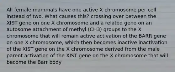 All female mammals have one active X chromosome per cell instead of two. What causes this? crossing over between the XIST gene on one X chromosome and a related gene on an autosome attachment of methyl (CH3) groups to the X chromosome that will remain active activation of the BARR gene on one X chromosome, which then becomes inactive inactivation of the XIST gene on the X chromosome derived from the male parent activation of the XIST gene on the X chromosome that will become the Barr body