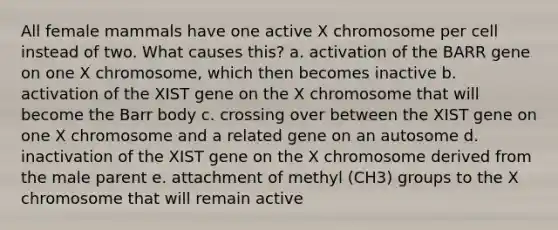 All female mammals have one active X chromosome per cell instead of two. What causes this? a. activation of the BARR gene on one X chromosome, which then becomes inactive b. activation of the XIST gene on the X chromosome that will become the Barr body c. crossing over between the XIST gene on one X chromosome and a related gene on an autosome d. inactivation of the XIST gene on the X chromosome derived from the male parent e. attachment of methyl (CH3) groups to the X chromosome that will remain active