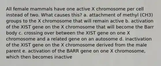 All female mammals have one active X chromosome per cell instead of two. What causes this? a. attachment of methyl (CH3) groups to the X chromosome that will remain active b. activation of the XIST gene on the X chromosome that will become the Barr body c. crossing over between the XIST gene on one X chromosome and a related gene on an autosome d. inactivation of the XIST gene on the X chromosome derived from the male parent e. activation of the BARR gene on one X chromosome, which then becomes inactive