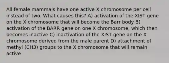 All female mammals have one active X chromosome per cell instead of two. What causes this? A) activation of the XIST gene on the X chromosome that will become the Barr body B) activation of the BARR gene on one X chromosome, which then becomes inactive C) inactivation of the XIST gene on the X chromosome derived from the male parent D) attachment of methyl (CH3) groups to the X chromosome that will remain active