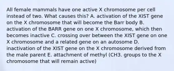 All female mammals have one active X chromosome per cell instead of two. What causes this? A. activation of the XIST gene on the X chromosome that will become the Barr body B. activation of the BARR gene on one X chromosome, which then becomes inactive C. crossing over between the XIST gene on one X chromosome and a related gene on an autosome D. inactivation of the XIST gene on the X chromosome derived from the male parent E. attachment of methyl (CH3. groups to the X chromosome that will remain active)