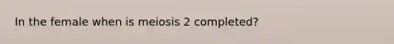 In the female when is meiosis 2 completed?