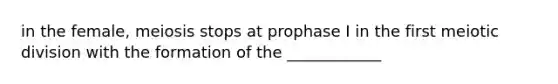 in the female, meiosis stops at prophase I in the first meiotic division with the formation of the ____________