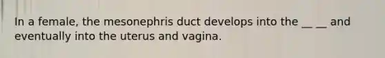 In a female, the mesonephris duct develops into the __ __ and eventually into the uterus and vagina.