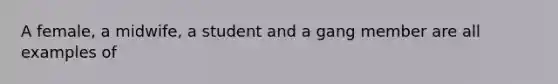 A female, a midwife, a student and a gang member are all examples of