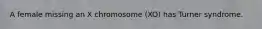 A female missing an X chromosome (XO) has Turner syndrome.