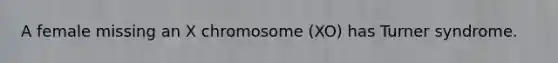 A female missing an X chromosome (XO) has Turner syndrome.