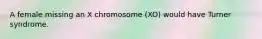 A female missing an X chromosome (XO) would have Turner syndrome.
