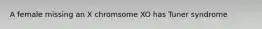 A female missing an X chromsome XO has Tuner syndrome