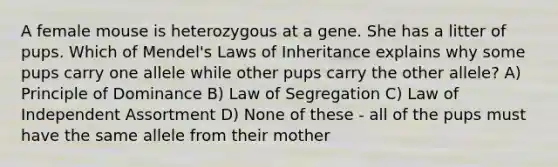 A female mouse is heterozygous at a gene. She has a litter of pups. Which of Mendel's Laws of Inheritance explains why some pups carry one allele while other pups carry the other allele? A) Principle of Dominance B) Law of Segregation C) Law of Independent Assortment D) None of these - all of the pups must have the same allele from their mother