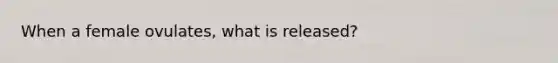 When a female ovulates, what is released?