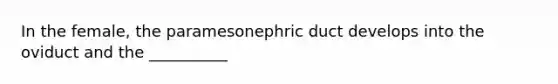 In the female, the paramesonephric duct develops into the oviduct and the __________