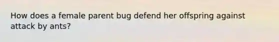 How does a female parent bug defend her offspring against attack by ants?