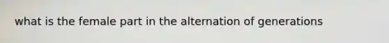 what is the female part in the alternation of generations
