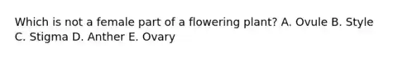 Which is not a female part of a flowering plant? A. Ovule B. Style C. Stigma D. Anther E. Ovary