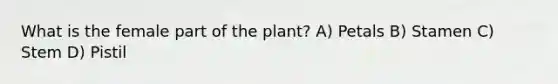 What is the female part of the plant? A) Petals B) Stamen C) Stem D) Pistil