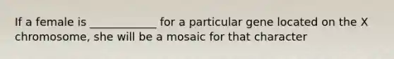 If a female is ____________ for a particular gene located on the X chromosome, she will be a mosaic for that character