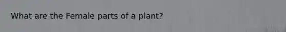 What are the Female parts of a plant?