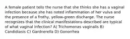 A female patient tells the nurse that she thinks she has a vaginal infection because she has noted inflammation of her vulva and the presence of a frothy, yellow-green discharge. The nurse recognizes that the clinical manifestations described are typical of what vaginal infection? A) Trichomonas vaginalis B) Candidiasis C) Gardnerella D) Gonorrhea