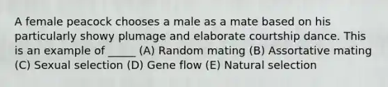 A female peacock chooses a male as a mate based on his particularly showy plumage and elaborate courtship dance. This is an example of _____ (A) Random mating (B) Assortative mating (C) Sexual selection (D) Gene flow (E) Natural selection