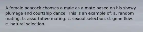 A female peacock chooses a male as a mate based on his showy plumage and courtship dance. This is an example of: a. random mating. b. assortative mating. c. sexual selection. d. gene flow. e. natural selection.