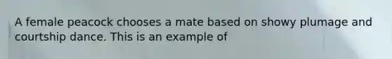 A female peacock chooses a mate based on showy plumage and courtship dance. This is an example of
