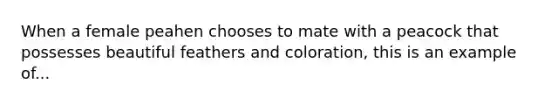 When a female peahen chooses to mate with a peacock that possesses beautiful feathers and coloration, this is an example of...