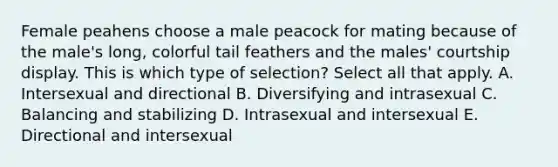 Female peahens choose a male peacock for mating because of the male's long, colorful tail feathers and the males' courtship display. This is which type of selection? Select all that apply. A. Intersexual and directional B. Diversifying and intrasexual C. Balancing and stabilizing D. Intrasexual and intersexual E. Directional and intersexual