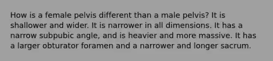 How is a female pelvis different than a male pelvis? It is shallower and wider. It is narrower in all dimensions. It has a narrow subpubic angle, and is heavier and more massive. It has a larger obturator foramen and a narrower and longer sacrum.