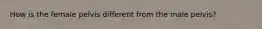 How is the female pelvis different from the male pelvis?