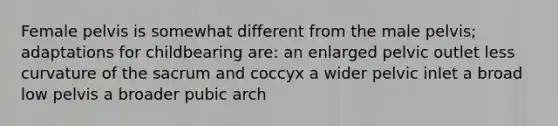 Female pelvis is somewhat different from the male pelvis; adaptations for childbearing are: an enlarged pelvic outlet less curvature of the sacrum and coccyx a wider pelvic inlet a broad low pelvis a broader pubic arch