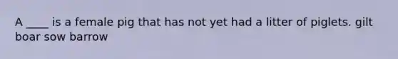 A ____ is a female pig that has not yet had a litter of piglets. gilt boar sow barrow