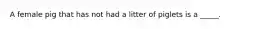 A female pig that has not had a litter of piglets is a _____.