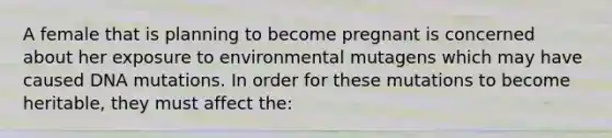 A female that is planning to become pregnant is concerned about her exposure to environmental mutagens which may have caused DNA mutations. In order for these mutations to become heritable, they must affect the: