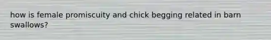 how is female promiscuity and chick begging related in barn swallows?