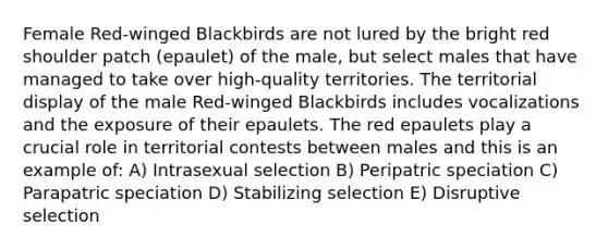 Female Red-winged Blackbirds are not lured by the bright red shoulder patch (epaulet) of the male, but select males that have managed to take over high-quality territories. The territorial display of the male Red-winged Blackbirds includes vocalizations and the exposure of their epaulets. The red epaulets play a crucial role in territorial contests between males and this is an example of: A) Intrasexual selection B) Peripatric speciation C) Parapatric speciation D) Stabilizing selection E) Disruptive selection