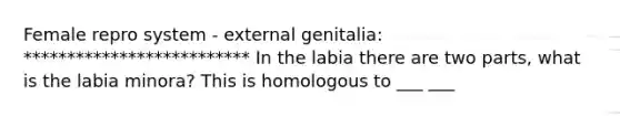 Female repro system - external genitalia: ************************** In the labia there are two parts, what is the labia minora? This is homologous to ___ ___