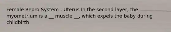 Female Repro System - Uterus In the second layer, the myometrium is a __ muscle __, which expels the baby during childbirth