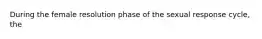 During the female resolution phase of the sexual response cycle, the