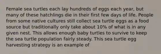 Female sea turtles each lay hundreds of eggs each year, but many of these hatchlings die in their first few days of life. People from some native cultures still collect sea turtle eggs as a food source but traditionally only take about 10% of what is in any given nest. This allows enough baby turtles to survive to keep the sea turtle population fairly steady. This sea turtle egg harvesting strategy is an example of