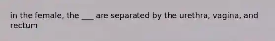 in the female, the ___ are separated by the urethra, vagina, and rectum