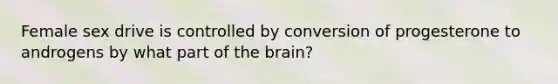 Female sex drive is controlled by conversion of progesterone to androgens by what part of <a href='https://www.questionai.com/knowledge/kLMtJeqKp6-the-brain' class='anchor-knowledge'>the brain</a>?