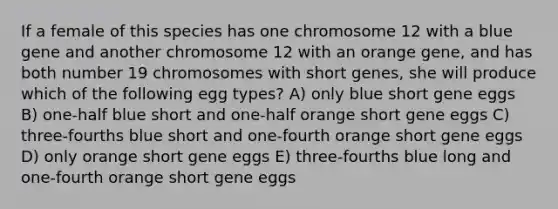 If a female of this species has one chromosome 12 with a blue gene and another chromosome 12 with an orange gene, and has both number 19 chromosomes with short genes, she will produce which of the following egg types? A) only blue short gene eggs B) one-half blue short and one-half orange short gene eggs C) three-fourths blue short and one-fourth orange short gene eggs D) only orange short gene eggs E) three-fourths blue long and one-fourth orange short gene eggs