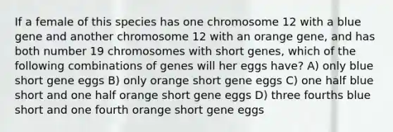 If a female of this species has one chromosome 12 with a blue gene and another chromosome 12 with an orange gene, and has both number 19 chromosomes with short genes, which of the following combinations of genes will her eggs have? A) only blue short gene eggs B) only orange short gene eggs C) one half blue short and one half orange short gene eggs D) three fourths blue short and one fourth orange short gene eggs