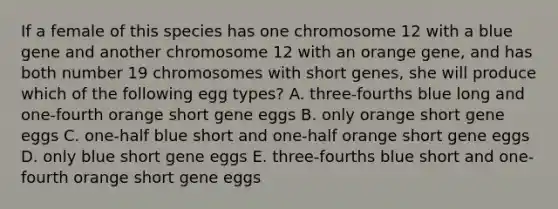 If a female of this species has one chromosome 12 with a blue gene and another chromosome 12 with an orange gene, and has both number 19 chromosomes with short genes, she will produce which of the following egg types? A. three-fourths blue long and one-fourth orange short gene eggs B. only orange short gene eggs C. one-half blue short and one-half orange short gene eggs D. only blue short gene eggs E. three-fourths blue short and one-fourth orange short gene eggs