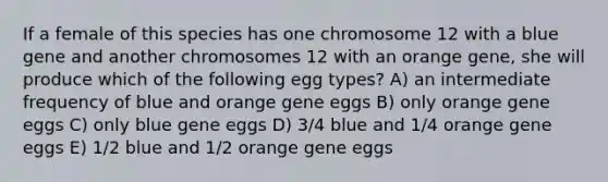 If a female of this species has one chromosome 12 with a blue gene and another chromosomes 12 with an orange gene, she will produce which of the following egg types? A) an intermediate frequency of blue and orange gene eggs B) only orange gene eggs C) only blue gene eggs D) 3/4 blue and 1/4 orange gene eggs E) 1/2 blue and 1/2 orange gene eggs