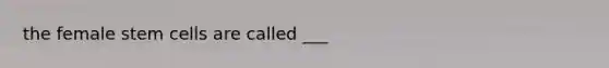 the female stem cells are called ___